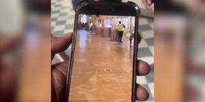 Louvre heist caught on video: Thief uses saw to break display case