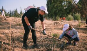 Nova conducts new environmental volunteer action at Penteli Monastery