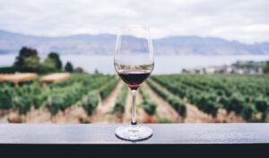 Greek wine industry: Major wineries show strong profits