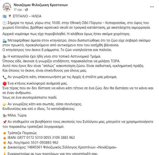 skylos-ileia-kakopoiisi