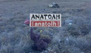 Fatal car crash in Crete: Vehicle plunges off cliff, driver killed