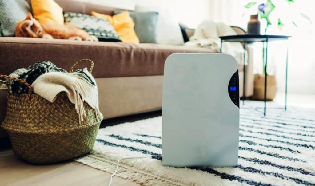 Black Friday vs Summer: When Prices Drop for Dehumidifiers and Refrigerators