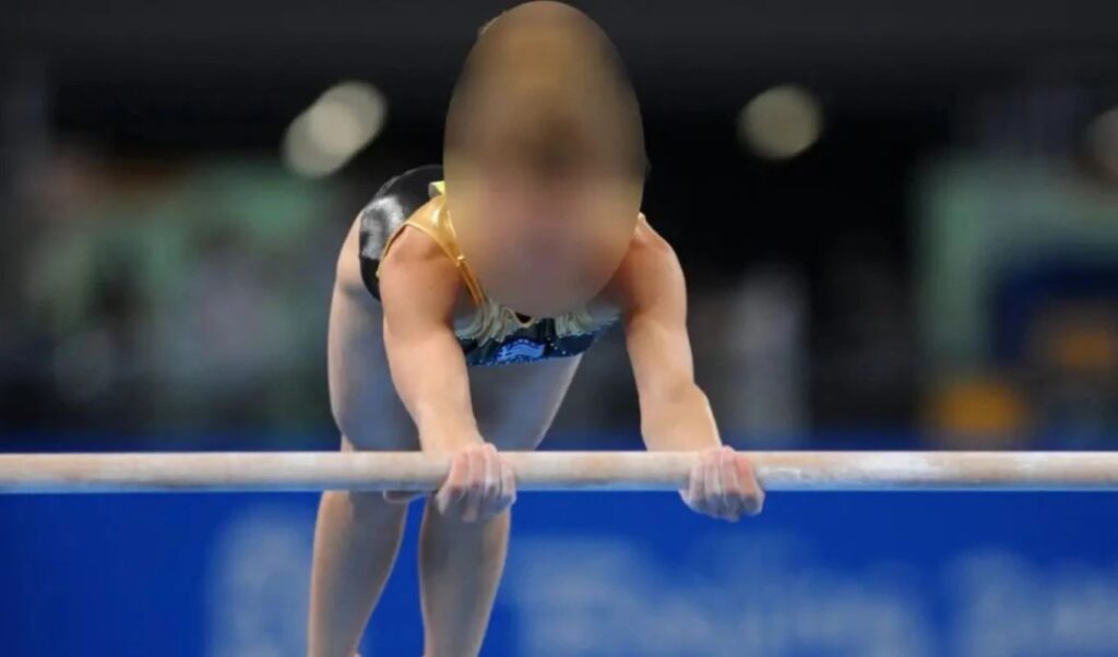 Roma gang phone scams: Former gymnastics champion involved