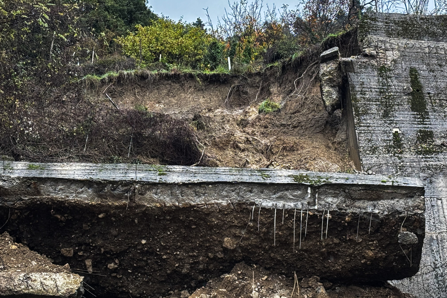 kakokairia-adel-ipeiros__4_