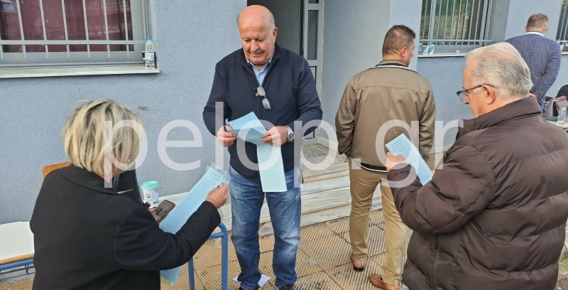 nd-maziki-summetohi-stis-kalpes-pos-exelissodai-oi-esokommatikes-ekloges-panelladika__3_