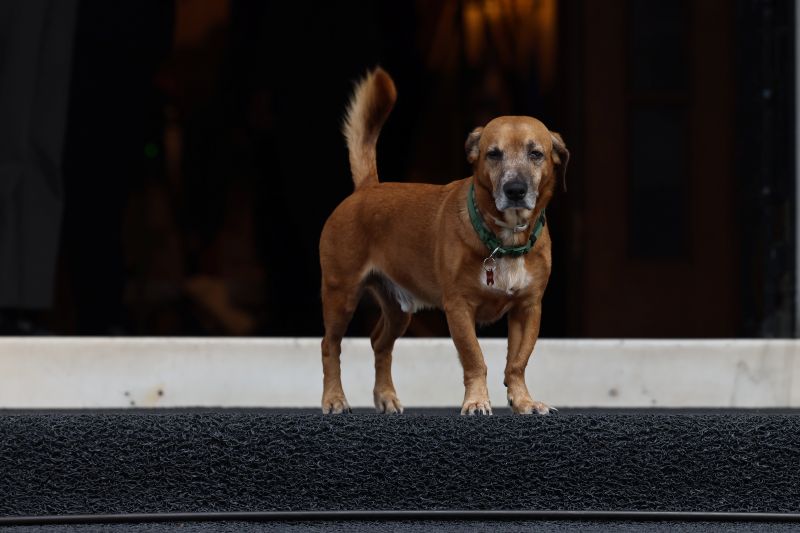 roberta-mezzola-kyriakos-mitsotakis-ethniki-pinakothiki14