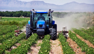 Government announces farmer support measures: production cost relief and energy subsidies