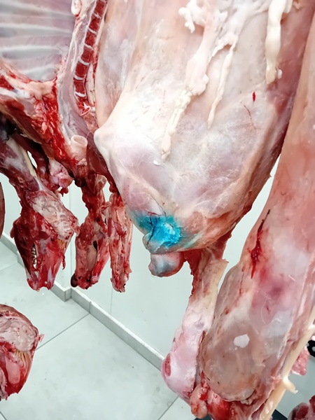 elegxoi-agora-attiki6795521