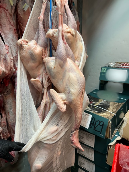 elegxoi-agora-attiki6795539