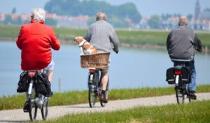 Early retirement: 8 ways to find “lost” contributions