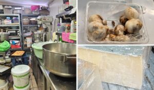Major Athens food safety raids seize 12 tons of unsafe products