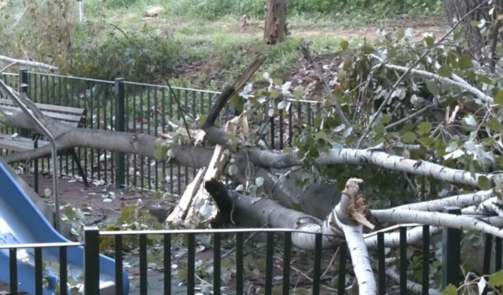 Tree falls on playground in Athens suburb – Tragedy avoided by miracle