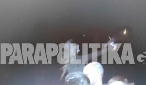 Police officer Elena Bobou under investigation for reckless shooting