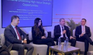 Alexandros Exarchou: EU must subsidize vertical energy corridor