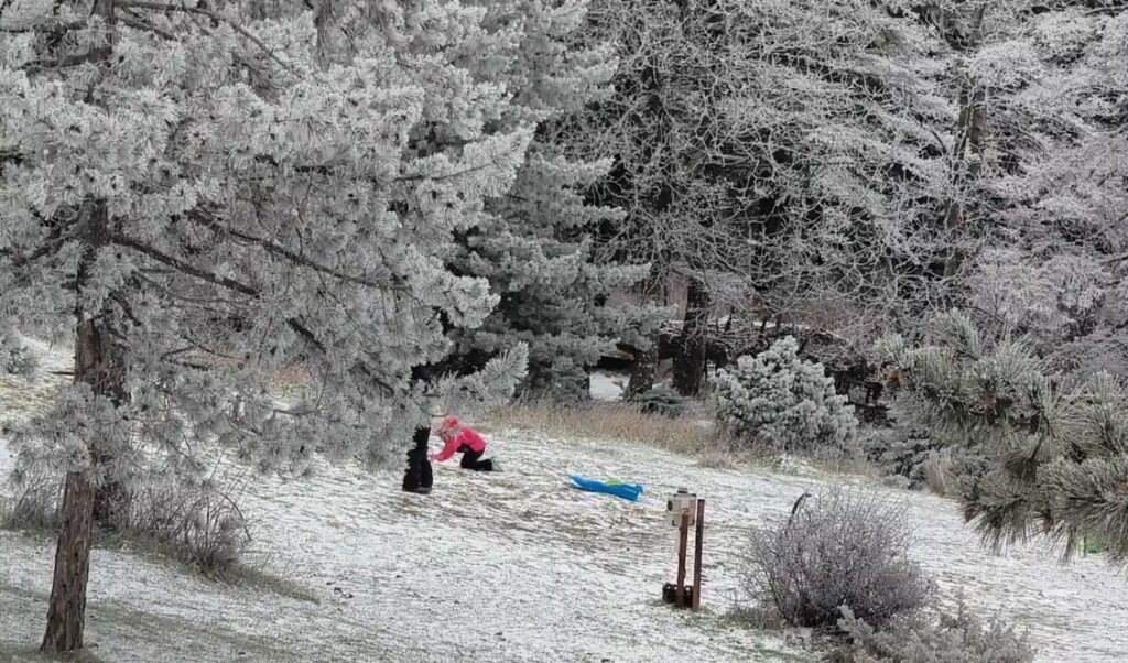 Snow in Attica: Mount Parnitha transforms into white masterpiece