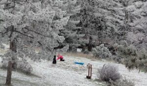 Snow in Attica: Mount Parnitha transforms into white masterpiece