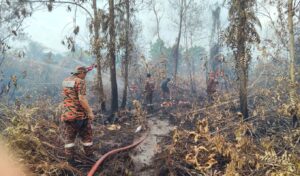 Record-breaking heatwave devastates Australia with fires and blackouts