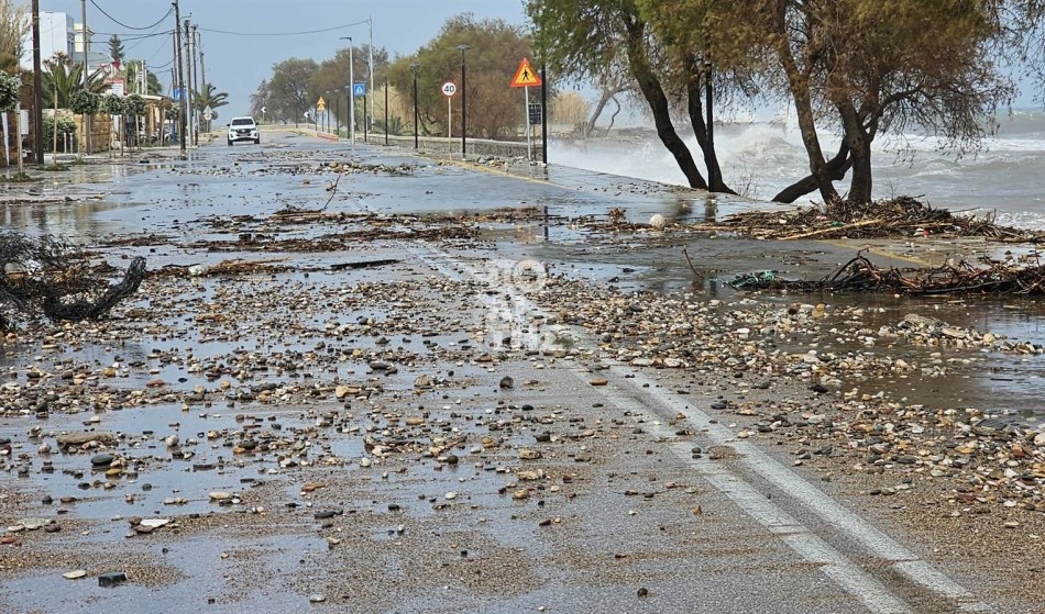 9b16ee54444640812f1443b6bd97aba4