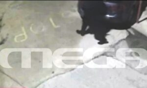 Nea Peramos murder: Video evidence shows abduction of 27-year-old