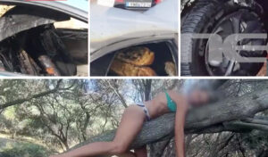 Yoga teacher arson case: “They look at me like divine justice”