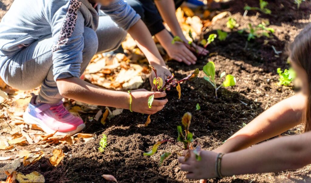 Carbon Farming Schools 2025: DEH and Open Farm promote sustainable agriculture to students