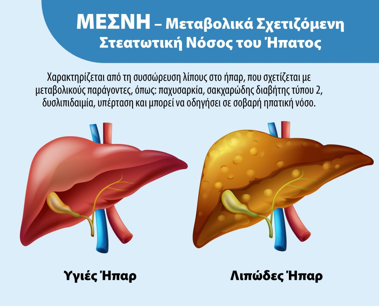 hepatrat-lipwdes-ipar