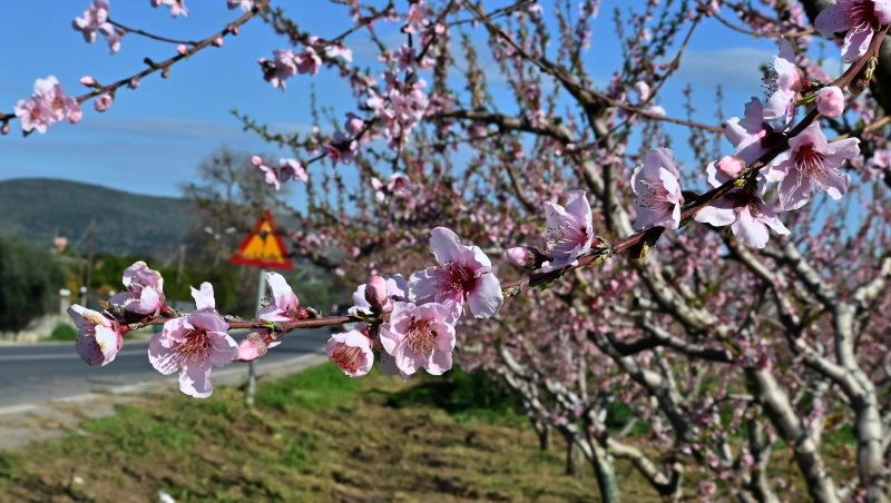 kairos-kymata-kakokairia-18-tesseris-mines-1