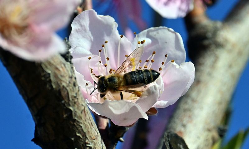 kairos-kymata-kakokairia-18-tesseris-mines-3