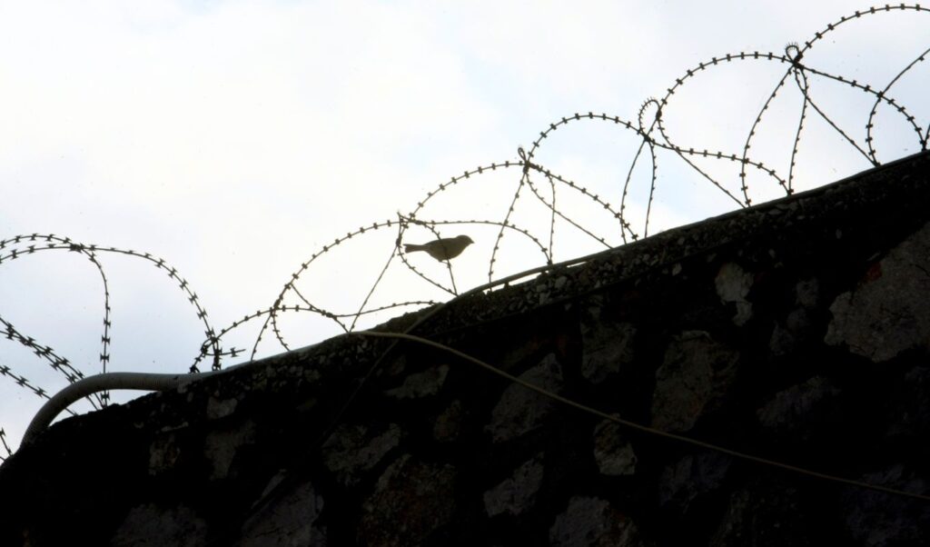 Lamia: 68-year-old jailed for harassing schoolgirls