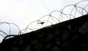 Lamia: 68-year-old jailed for harassing schoolgirls