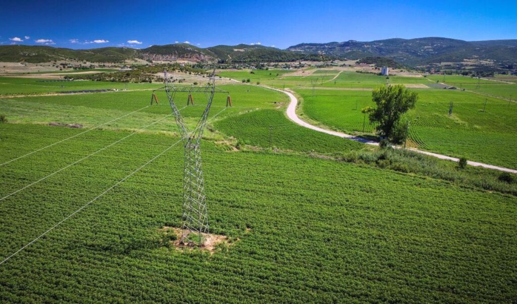 Greek tax authority announces new rules for agricultural land declarations