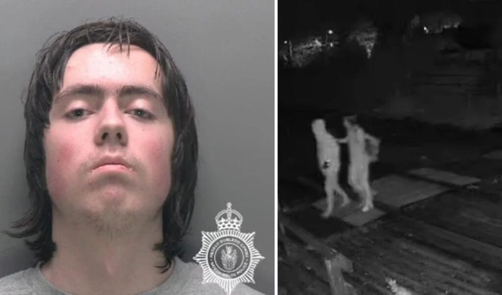 Teen kills mother with hammer after AI chatbot advice in Wales