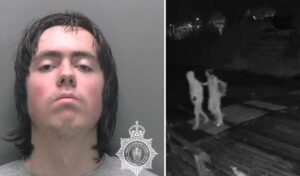 Teen kills mother with hammer after AI chatbot advice in Wales