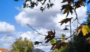 Weather: Return to spring conditions with stable temperatures