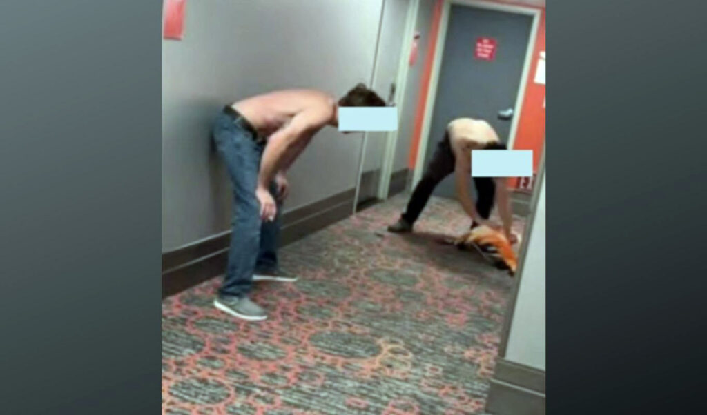 Canadian tourist tortures flamingo at US hotel for selfie