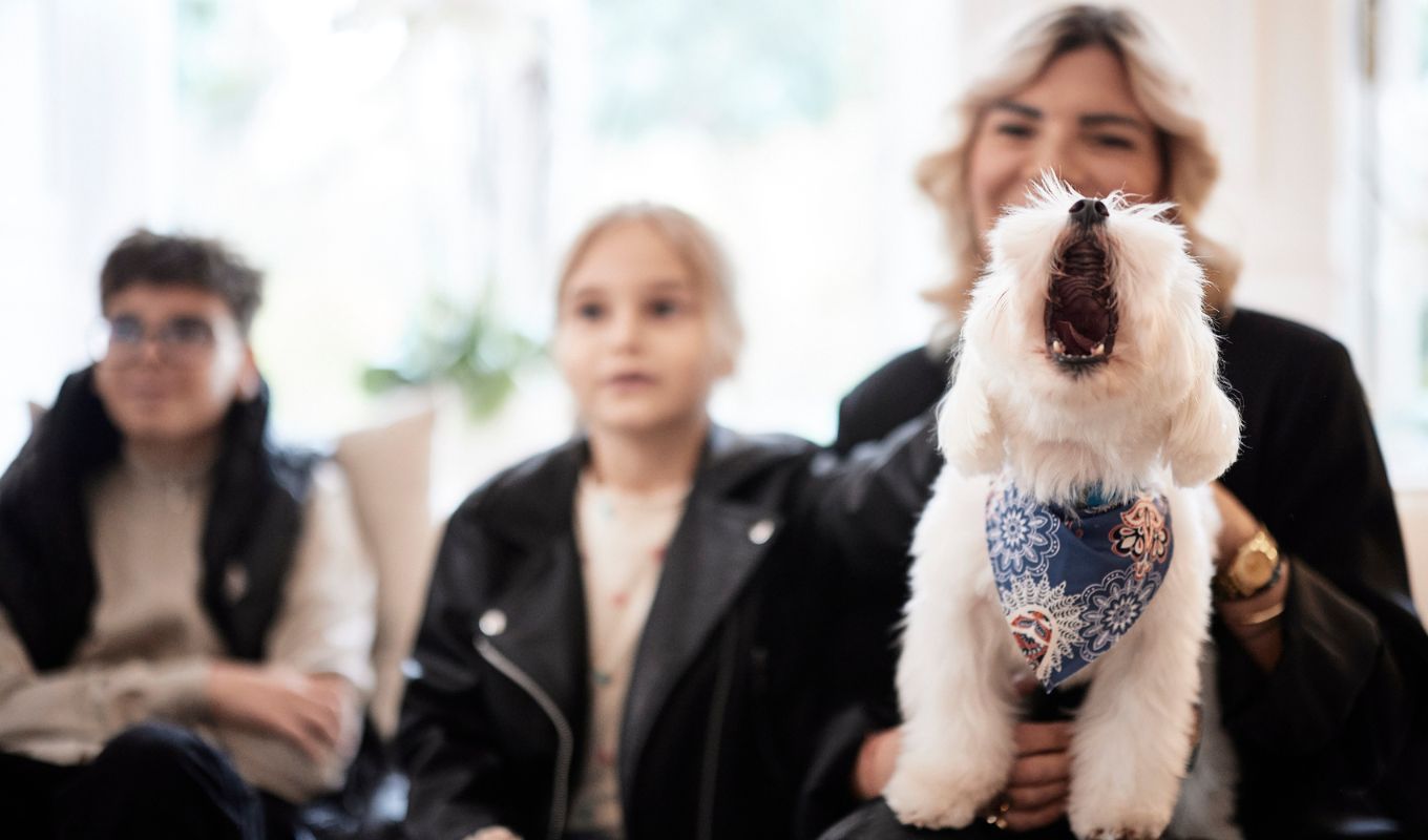 kuriakos-mitsotakis-upodehthike-sto-megaro-maximou-ellines-polites-pou-epanapatristikan-apo-ti-mesi-anatoli-mazi-me-ta-zoa-sudrofias-tous-den-tha-borouse-kaneis-na-ta-afisei-piso-eikones__10_