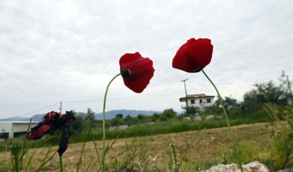 Easter weather forecast remains uncertain as top models clash