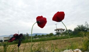 Easter weather forecast remains uncertain as top models clash