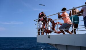 Social tourism platform struggles with low response rates: DYPA chief