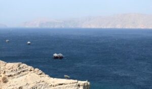 Strait of Hormuz: Japanese and Turkish ships pass through in recent hours
