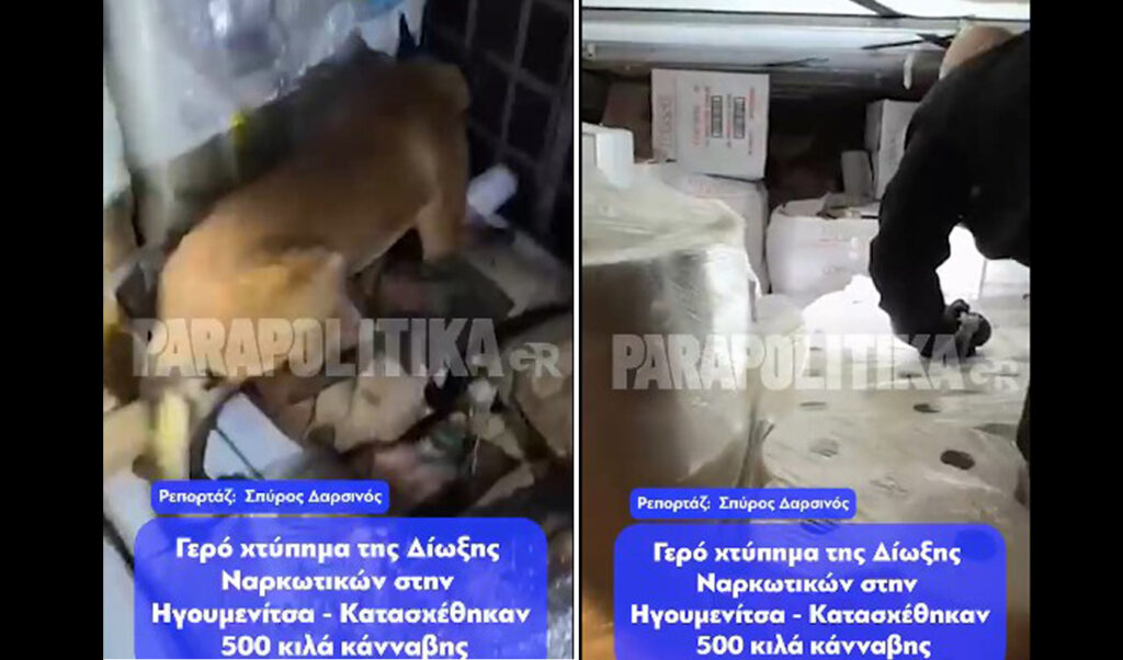 Major drug bust hits Bulgarian trafficking networks: 500kg cannabis seized