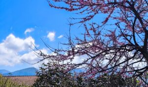 Greece weather: Cold snap ends, temperatures rising to 30°C