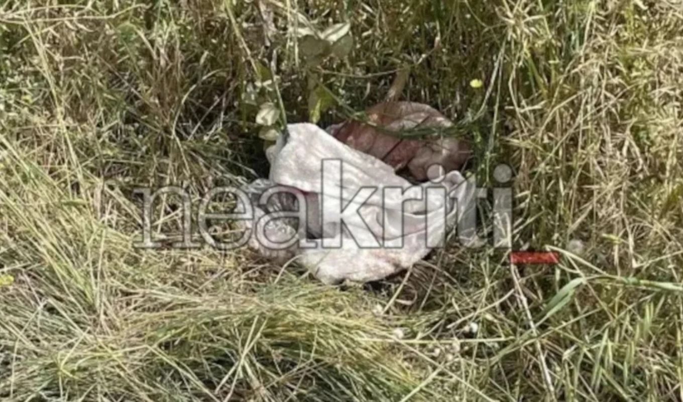Crete: Sister of 28-year-old mother makes shocking revelations, "the 30-year-old had hit her before" - Husband gives testimony (Video)