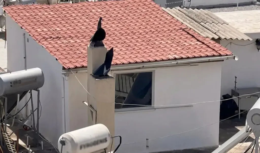 Greece: Six children living in squalor – shocking testimonies