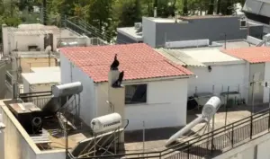 Peristeri child neglect case: Shocking footage reveals home conditions