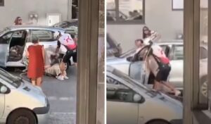 Cyclist brutally assaults female driver in Portugal street attack
