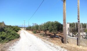Crete: Brothers attack engineers with machetes during land survey