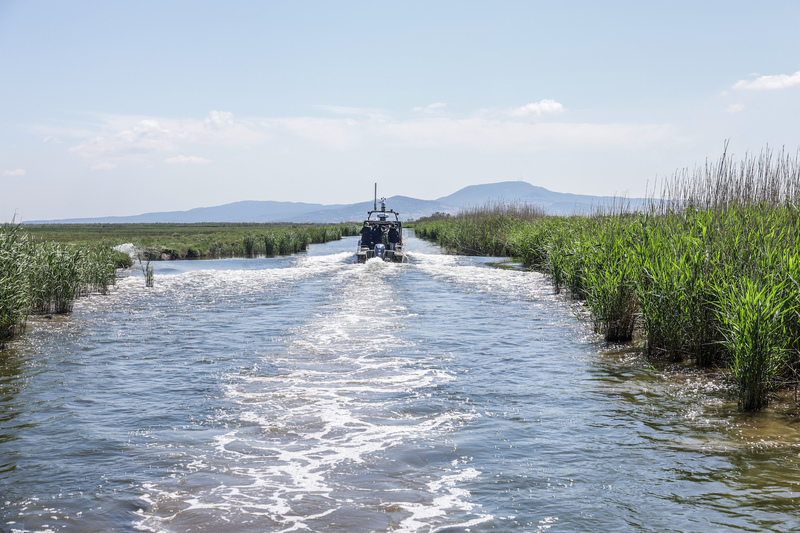 tasoulas-evros__9_