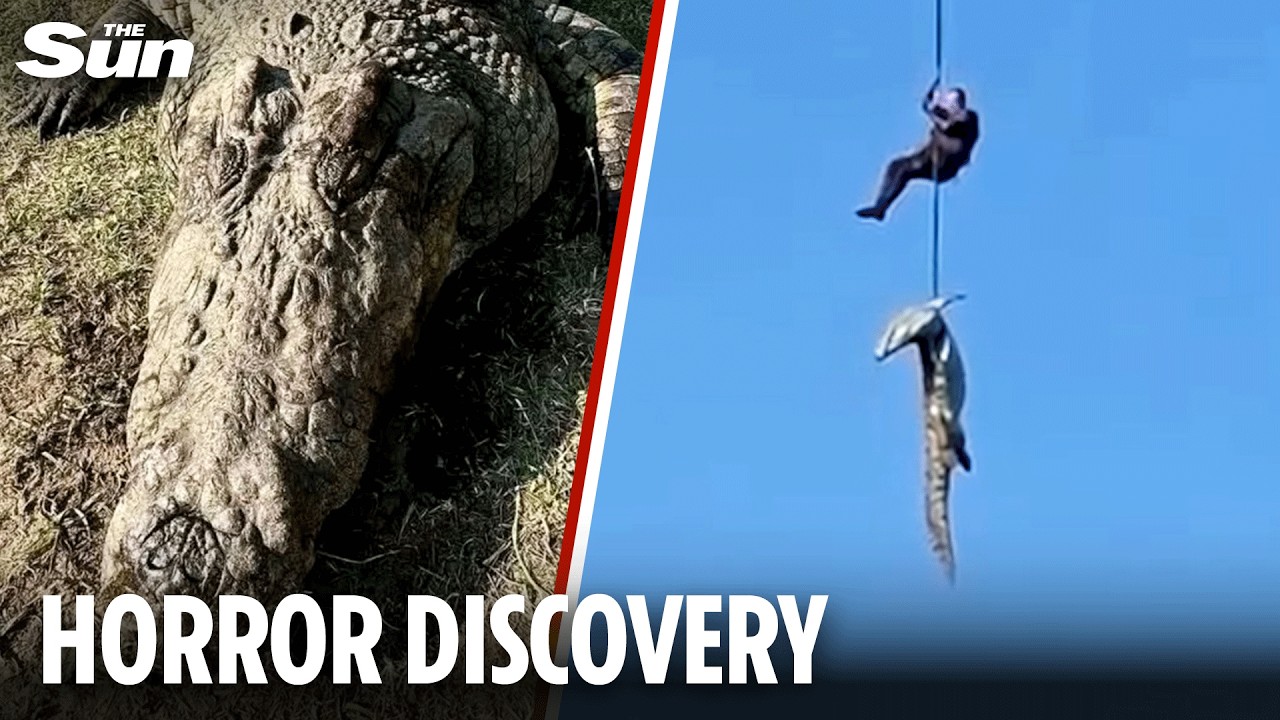 Moment cop is lowered into crocodile-infested river to retrieve hotel boss still INSIDE beast