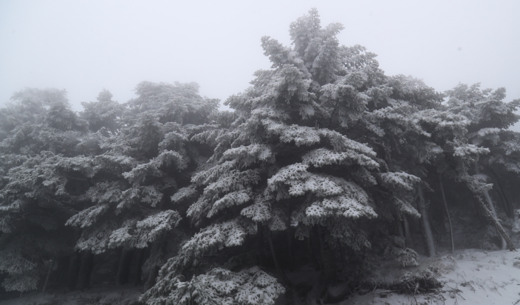 Greece hit by record May snowfall: Temperatures drop to -3.2°C